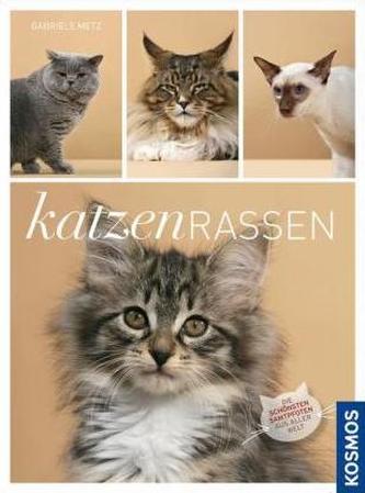 Katzenrassen