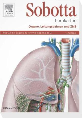 Organe, Leitungsbahnen und ZNS, 137 Lernkarten