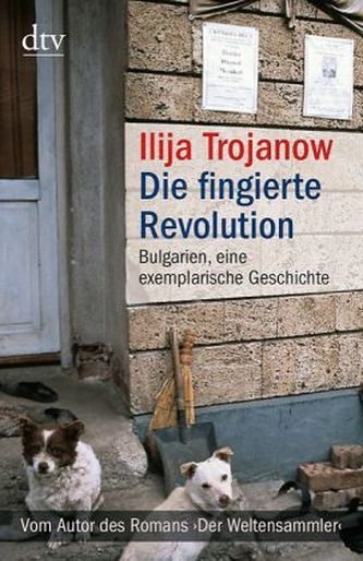Die fingierte Revolution