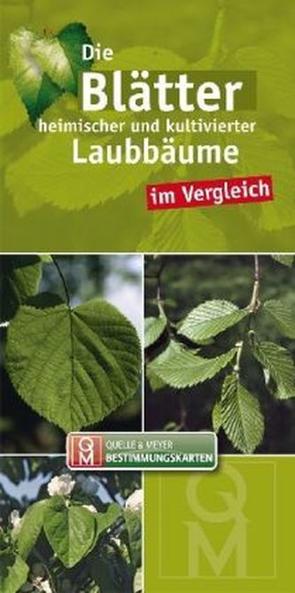 Die Blätter heimischer und kultivierter Laubbäume im Vergleich, Leporello
