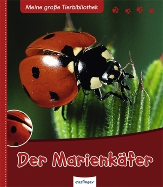 Der Marienkäfer