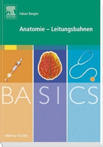 Anatomie - Leitungsbahnen