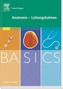 Anatomie - Leitungsbahnen
