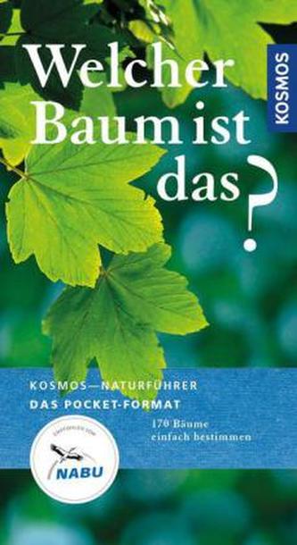 Welcher Baum ist das?