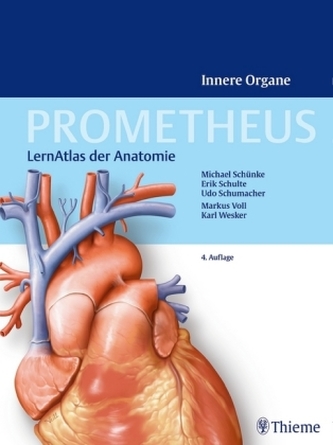 Innere Organe