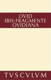 Ibis