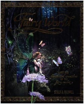 Fairy World