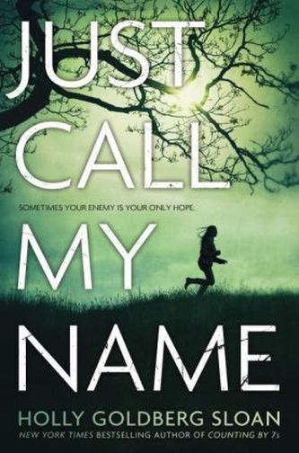 Just Call My Name. Sam & Emily - Bis zum Ende des Sommers, englische Ausgabe