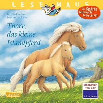 Thore, das kleine Islandpferd