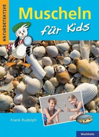 Muscheln für Kids