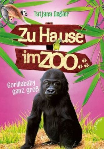 Zu Hause im Zoo - Gorillababy ganz groß