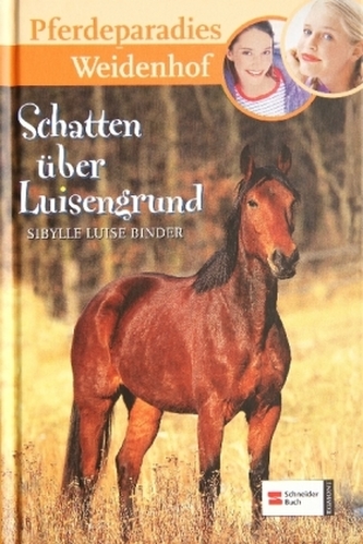 Pferdeparadies Weidenhof - Schatten über Luisengrund