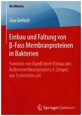Einbau und Faltung von -Fass Membranproteinen in Bakterien