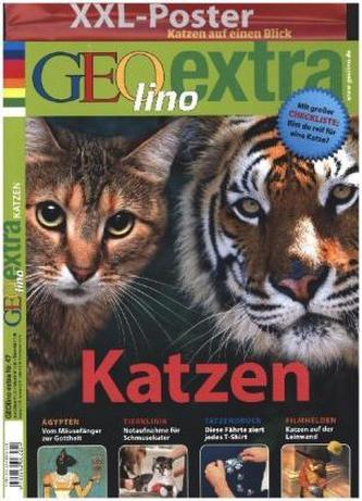 Katzen