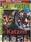 Katzen