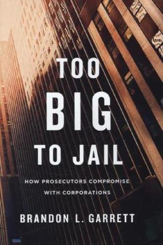 Too Big to Jail