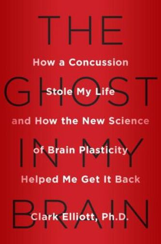 The Ghost in My Brain