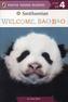 Welcome, Bao Bao