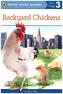 Backyard Chickens