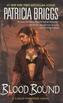 Blood Bound. Bann des Blutes, englische Ausgabe