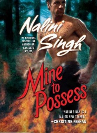 Mine to Possess. Im Feuer der Nacht, englische Ausgabe