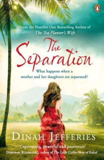 The Separation. Bis wir uns wiedersehen, englische Ausgabe