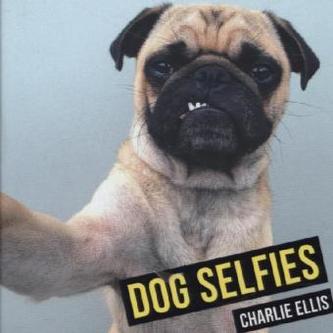 Dog Selfies
