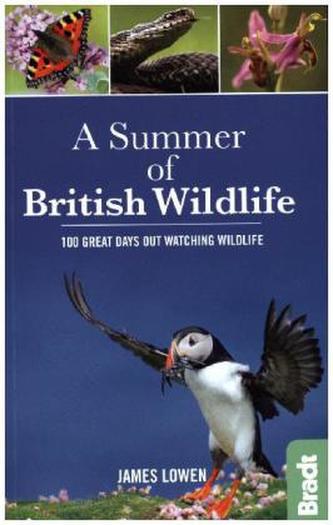 Summer of Wildlife