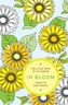 Little Book of Colouring - In Bloom