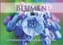 Blumen, Postkartenbuch