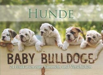 Postkartenbuch Hunde