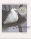 Schwanensee, m. Audio-CD