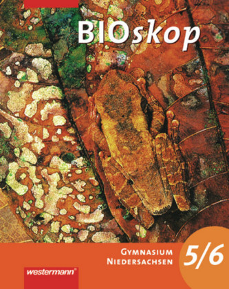 5./6. Schuljahr, Schülerband