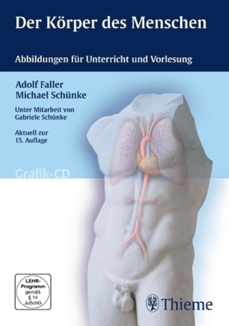 Der Körper des Menschen, 1 CD-ROM
