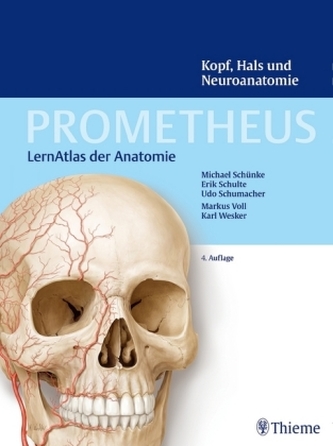 Kopf, Hals und Neuroanatomie