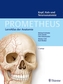 Kopf, Hals und Neuroanatomie