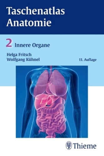 Innere Organe
