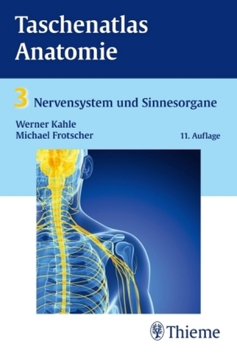 Nervensystem und Sinnesorgane