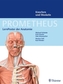 LernPoster der Anatomie, Knochen und Muskeln, 2 Poster