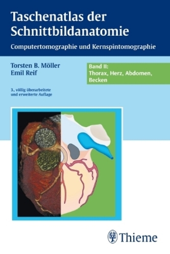 Thorax, Herz, Abdomen, Becken