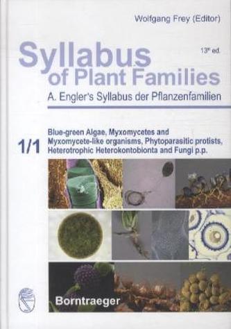 Blue-green Algae, Myxomycetes and Myxomycete-like organisms, Phytoparasitic protists, Heterotrophic Heterokontobionta and Fungi