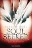 Soul Seekers - Licht am Horizont