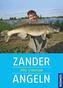 Zander angeln