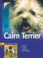 Cairn Terrier