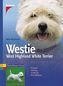 Westie