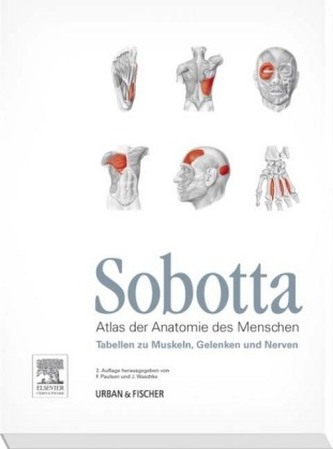 Tabellen zu Muskeln, Gelenken und Nerven