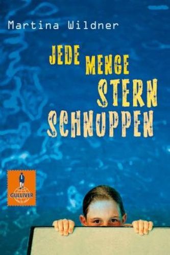 Jede Menge Sternschnuppen