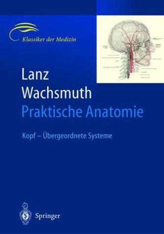 Kopf - Übergeordnete Systeme