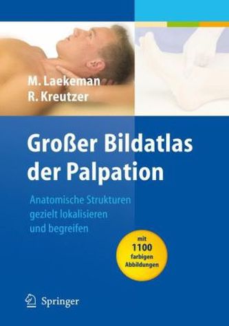 Großer Bildatlas der Palpation