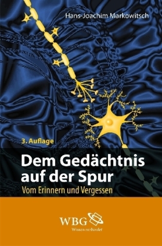 Dem Gedächtnis auf der Spur